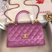 Luxury Chanel Small Flap Bag with Top Handle A92991 Purplish HV02015UV86